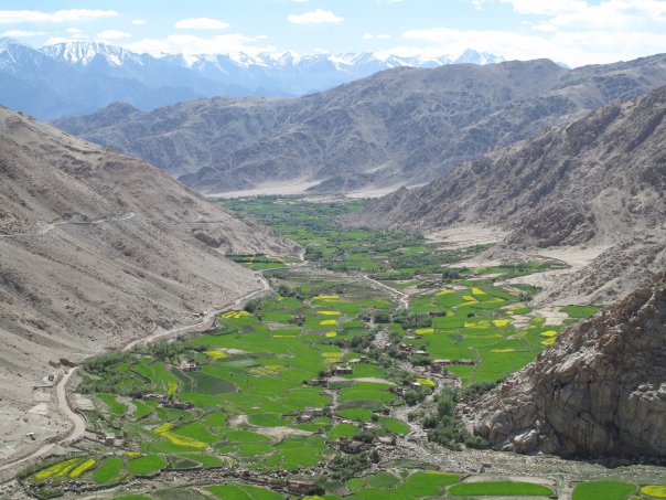 Green fields in a mountain valley, with snow-covered peaks in the distance.